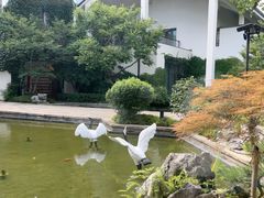 -广富林宰相府酒店·水云间