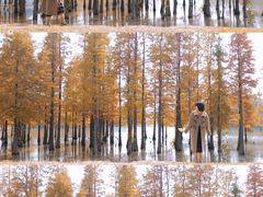 -白鹭湾湿地公园