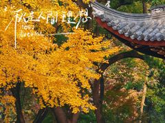 -汇龙潭