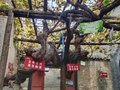 -康百万庄园