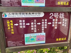 -上海海湾国家森林公园