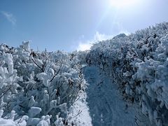 -秦岭风景区