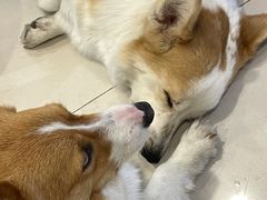 -平行世界·猫咖(首经贸店)