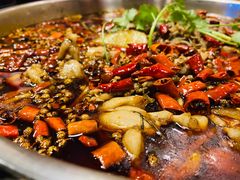 -味之绝热血美蛙鱼火锅(中坝店)