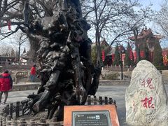 -大槐树寻根祭祖园
