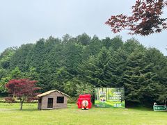 -四明山国家森林公园