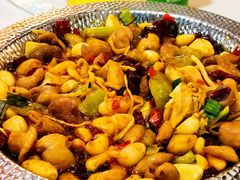 -湘仔肥肠(煤机街店)