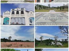 -王借岗森林公园