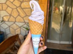 -金石滩蓝莓谷庄园