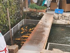 -京北渔家傲