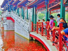 -西海子公园
