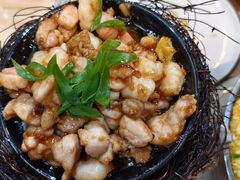 -丁老爷子苏香圆