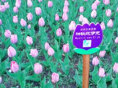 -长春公园(普阳街道)