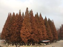 -紫金山天文台