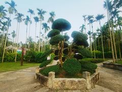 -蔡家宅