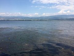 -西昌邛海湾柏樾酒店(原邛海湾柏栎度假酒店)