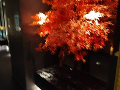 -梅筑·创意料理(王府井百货店)