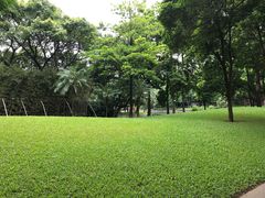 -晓港公园