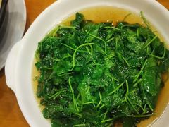 酒香草头-牧羊餐厅