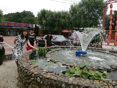 -龙福源密云水库灶台鱼