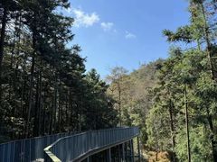 -天姥山