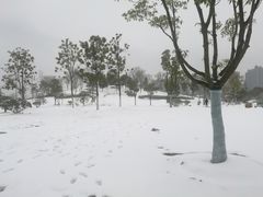 -滨湖塘西河公园