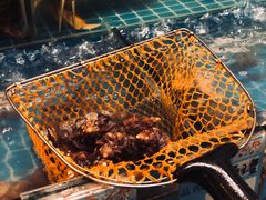 -烧货·活海鲜炭烧(湖滨商业街店)