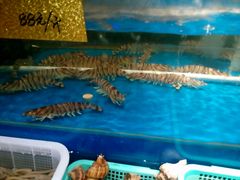-海蓝海鲜馆(五四北店)