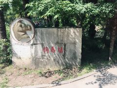 游乐设施-上海共青森林公园