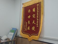 -米苏动物医院·犬猫专科·骨科外科内窥镜