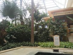 -国信南山温泉