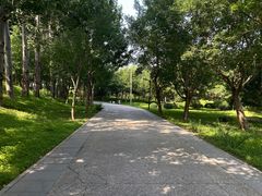 -北坞公园