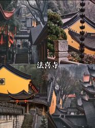 -深圳艺星医疗美容医院