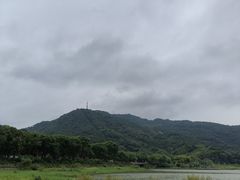 -风云岭森林公园