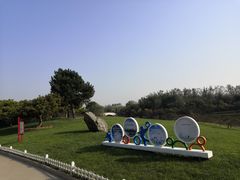 -塘沽森林公园