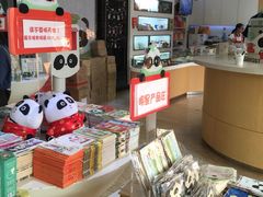 -熊猫邮局(少城店)