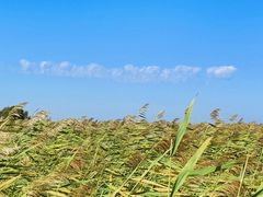-黑龙江扎龙生态旅游区