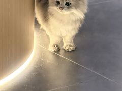 -鲜芋仙(常州吾悦国际广场店)