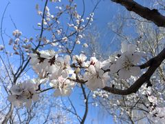 -大兴滨河森林公园