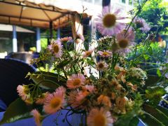 -龙猫意杯花园餐厅(芙蓉湖店)