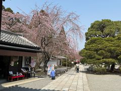 -醍醐寺