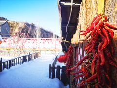 -采薇庄园四季滑雪场