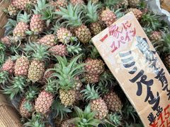-国际通
