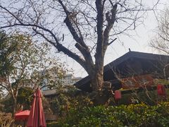 -西安国际创新人才交流中心•药浴温泉