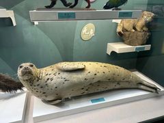 -国家自然博物馆