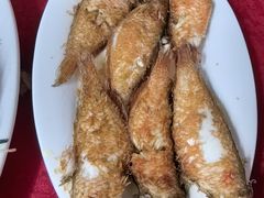 -蛇口康乐快餐鱼仔档(翠苑小区店)