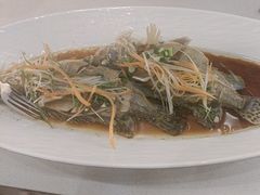 -宝荣鱼馆·临湖之宴(千岛湖店)