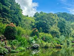 -深圳仙湖植物园
