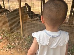 -光明农场大观园