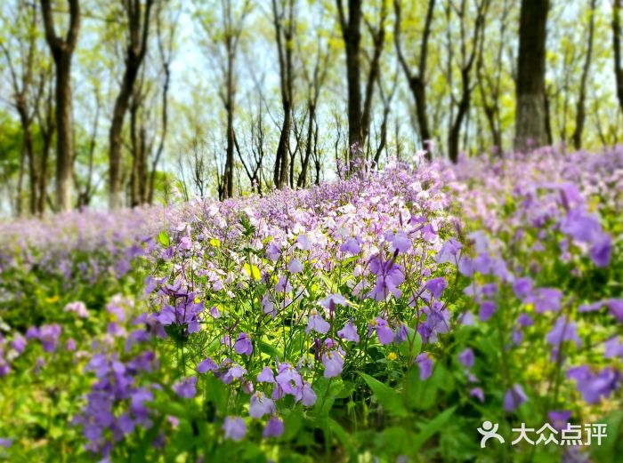 南海子公园图片